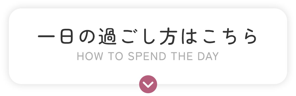 一日の過ごし方はこちら